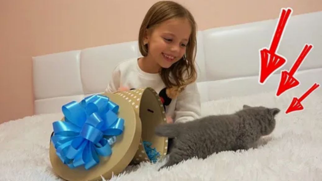 Семья подобрала крошечного котёнка, а через год их ждал неожиданный сюрприз!