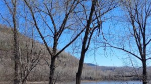 Торгуй деньгами как товаром и будь всегда в плюсе? Надёжно, легко, доходно! Старт для бизнеса