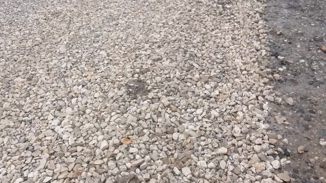 29.04.2026.Ляховский край.Уно-Моменто!257365. Губернаторский. Ляхово TиVи. Усадьба Парк Кинематогр