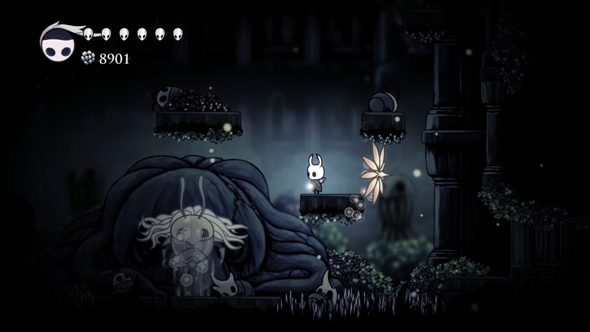 Незрячая в Hollow Knight