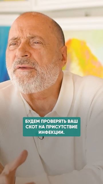 ЗАБОЙ СКОТА В СИБИРИ - ПРИЧИНА #россия #общество