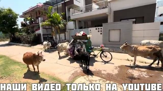 ПОЧЕМУ ВЕЗДЕ ТАК ГРЯЗНО КТО ДОЛЖЕН УБИРАТЬ МУСОР И КТО ОТВЕЧАЕТ ЗА ПОРЯДОК