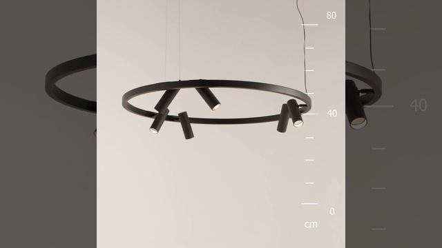 Светильник Maytoni Satellite MOD102PL-L42BK