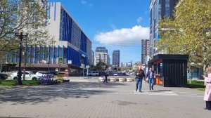 Весеннее утро в Новороссийске