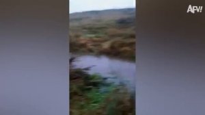 «Подборка смешных фейлов: лучшие моменты января 2026!».