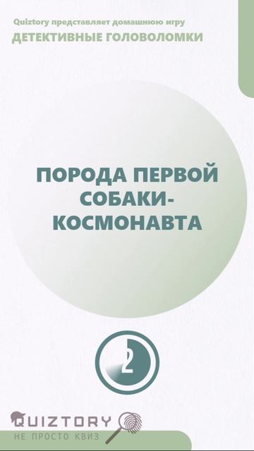 О чём речь? 388 серия быстрых расследований от Квиза Детективные Головоломки quiztory квиз shorts