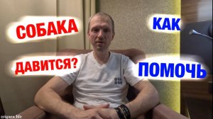 Собака кашляет, будто подавилась? Это питомниковый кашель! Что делать?