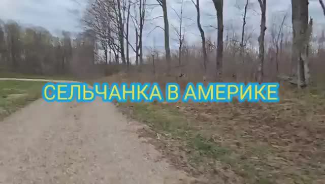 Сельчанка в Америке У НАС СНОВА ВЕТРЕНЫЙ ШТОРМ