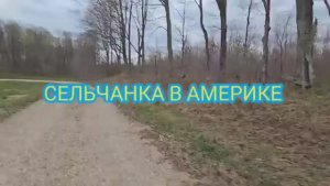 Сельчанка в Америке У НАС СНОВА ВЕТРЕНЫЙ ШТОРМ