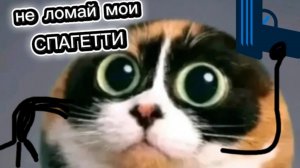 я сломал все спагетти хоооооли БАМА 💥💥 и стал его ассистентом и снимал как он ломает спагетти