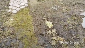 море на даче