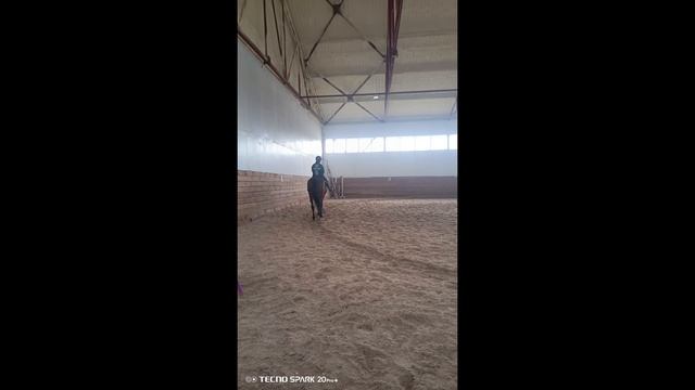была на конном спорте 🐮🎧 смотреть онлайн