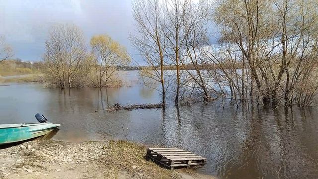 р.Ока.29апреля 2026г.