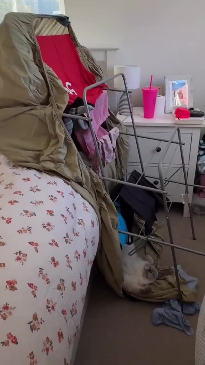 #Милые #видео #животные