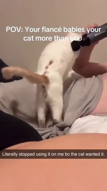 Шансы похищения вашего мужчины котом малы, но никогда не равны нулю!