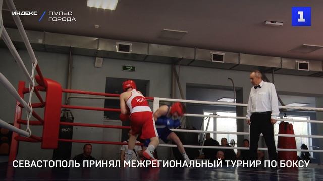 Севастополь принял межрегиональный турнир по боксу