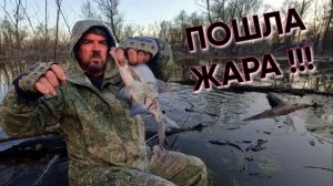 ПОШЛА ЖАРА !!! Рыбалка в Обских разливах  в запрет ! Поплавок 27 апреля 2026г.
