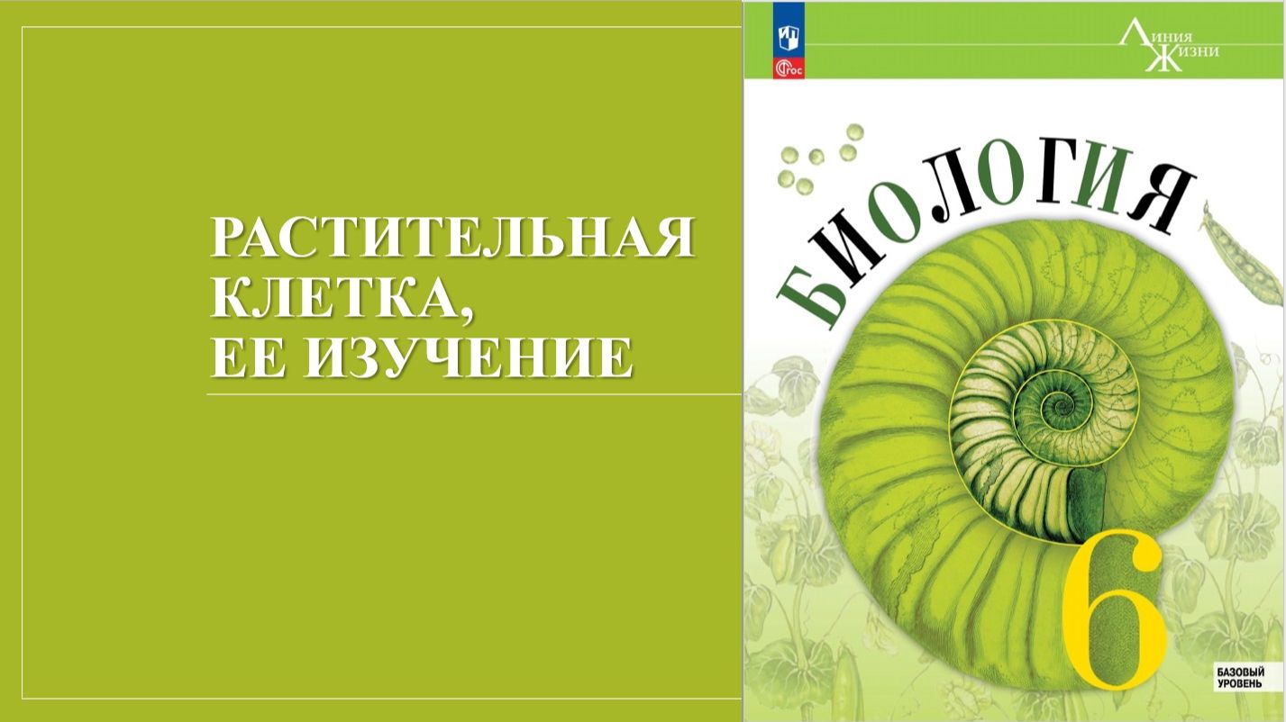 Урок 4. Растительная клетка ее изучение