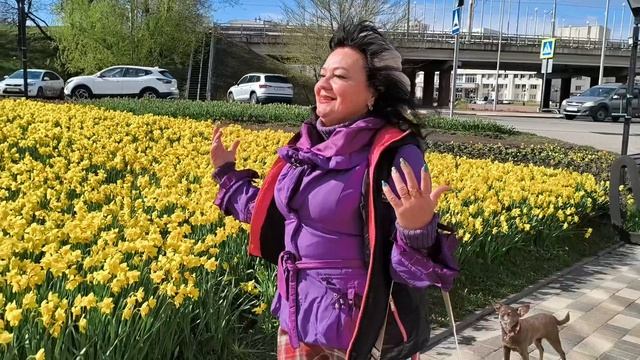 Тюльпаны, нарциссы и мы 29.04.26. Белгород