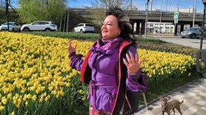 Тюльпаны, нарциссы и мы 29.04.26. Белгород