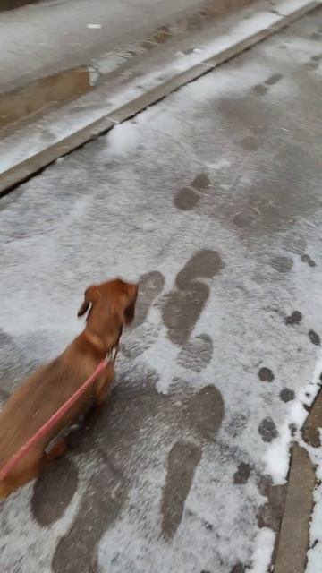 Апрель, наслаждаемся весенней погодой