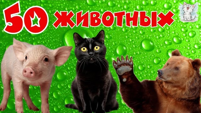 Животные и их звуки для детей. Сборник обучающее видео