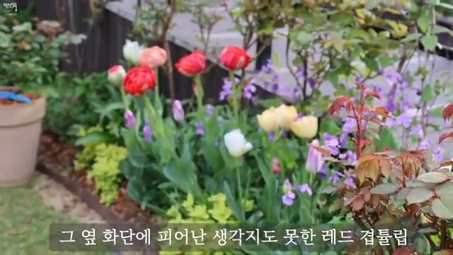 🐞🐞🐞🦋🌷🌹