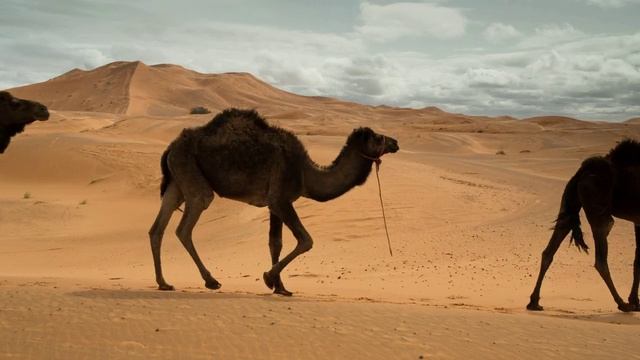 Видеоролик на тему 