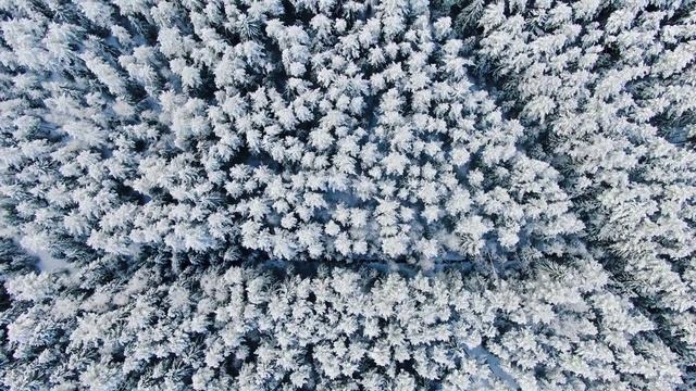 Видеоролик на тему Моё любимое время года