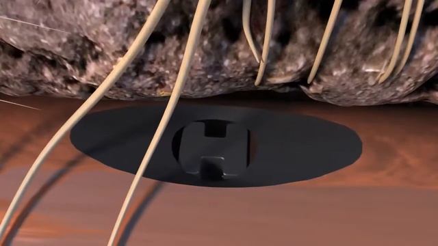 Подзъемная капельная линия Rain Bird XFS