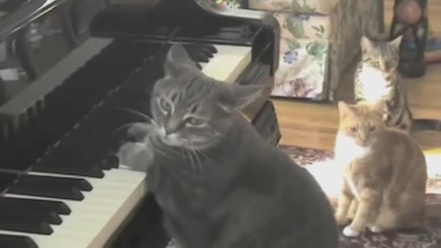 О некоторых тенденциях трансформации сценического образа в исполнительском искусстве XXI века