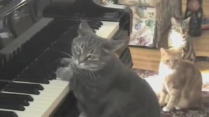 О некоторых тенденциях трансформации сценического образа в исполнительском искусстве XXI века