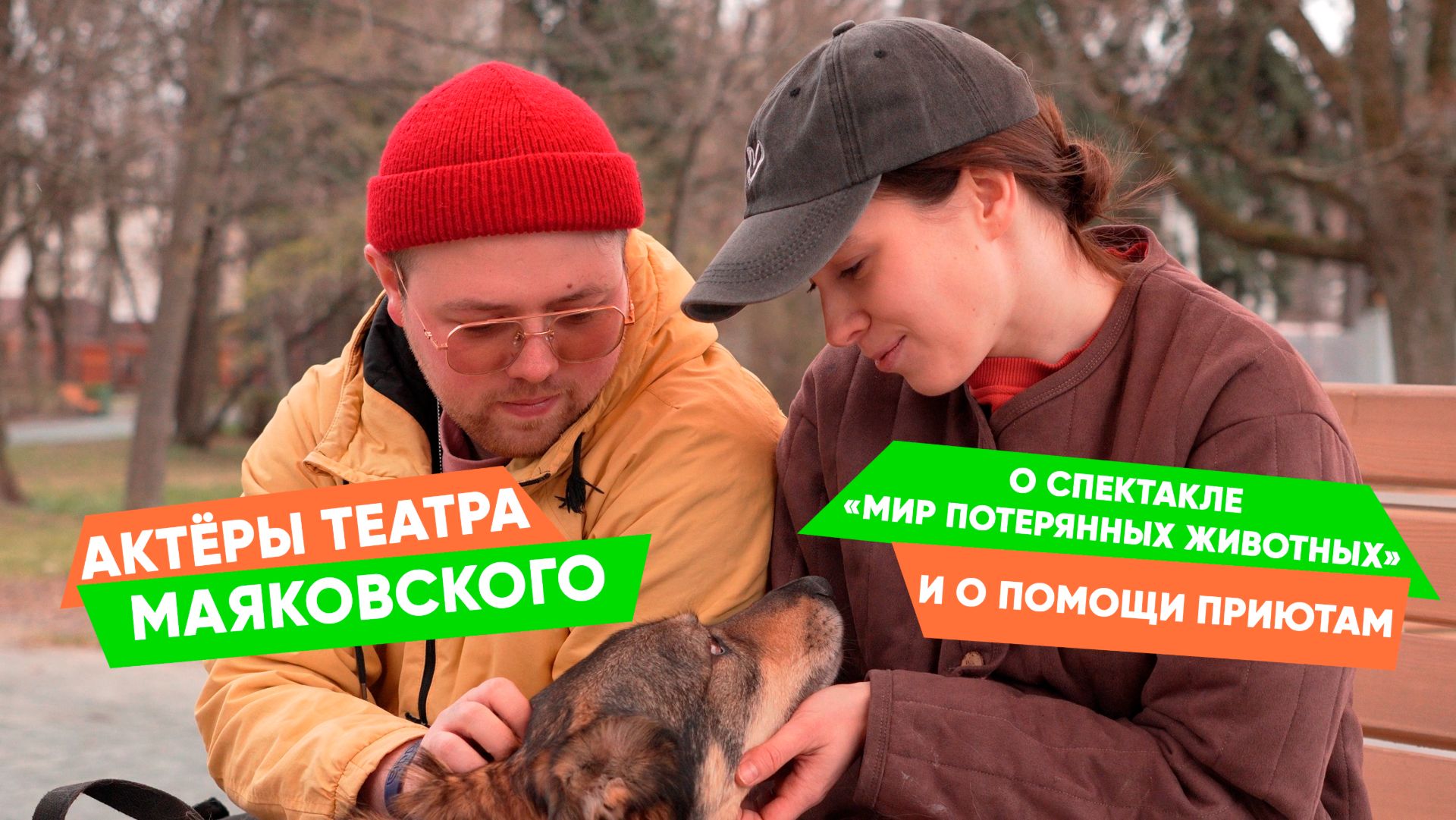 «Питомцы нуждаются в нашей любви, а мы нуждаемся в них»