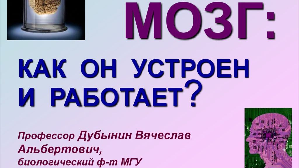 Мозг_ как он устроен и работает - Лекция 3