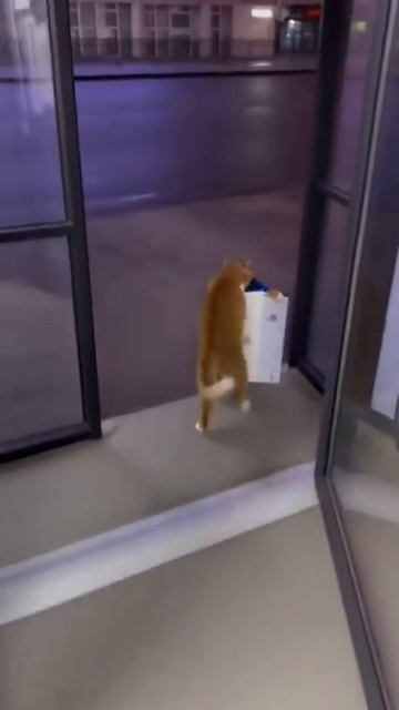 Наверное играть пошел… 😁😁😁