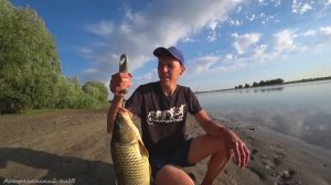 Нашёл САЗАНИЙ ПЛЯЖ!САЗАН на ЗАКИДУШКУ, МАКУШАТНИК, ЖМЫХ! Рыбалка на сазана с ночевой.