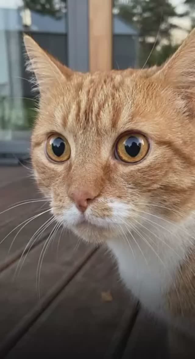 «Кто ты такой?»