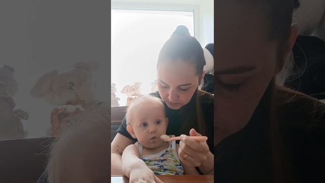 Влог. День 5