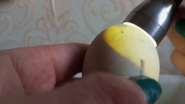 20е сутки, дождалась Пушкариков.