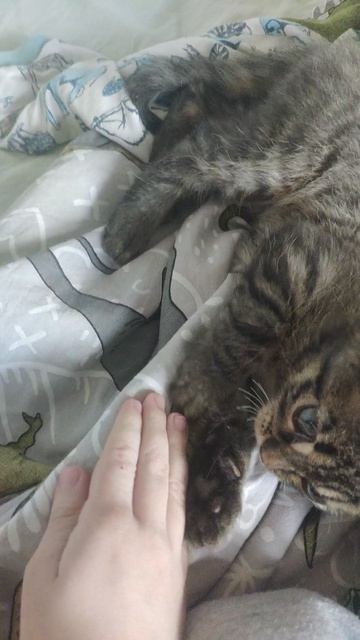 VID_20260429_130552.mp4