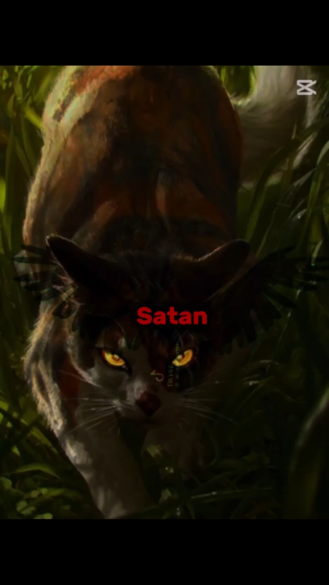 Кто ты? || Коты- Воители