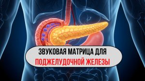 Звуковая матрица для восстановления поджелудочной железы 🎵 | Исцеляющие частоты
