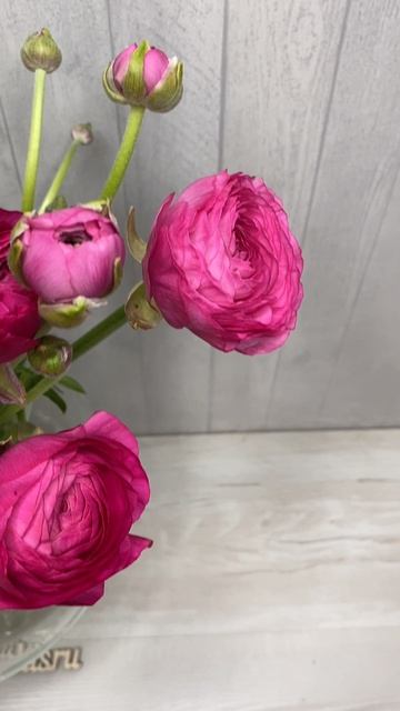 Букет из 9 малиновых ранункулюсов под ленту