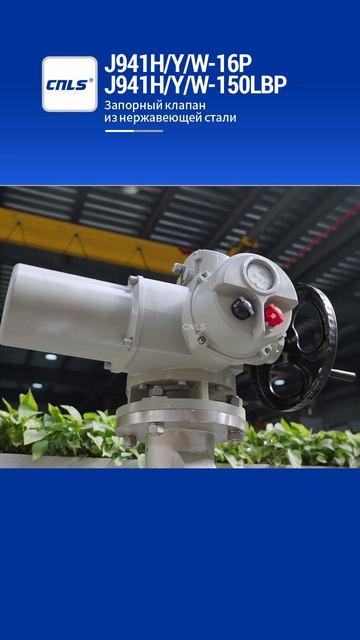 J941HYW-16P J941HYW-150LBP Запорный клапан из нержавеющей стали-CNLS
