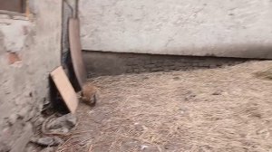Выход номер два  Дочка
