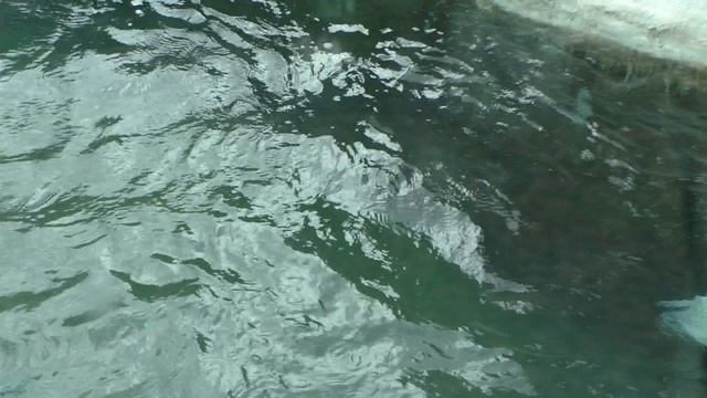 ПЛАВАТЬ ЛЮБЛЮ.Видео Татьяны Крестьянсковой