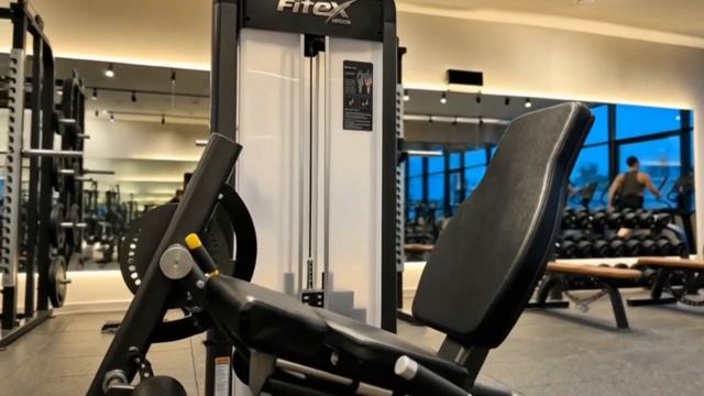 FTX-61F24 Разгибатель бедра