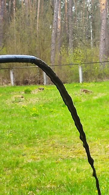 Кур обл Олимпиец результат