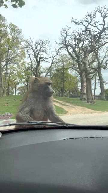 Такой концовки я и сам не ожидал (282)