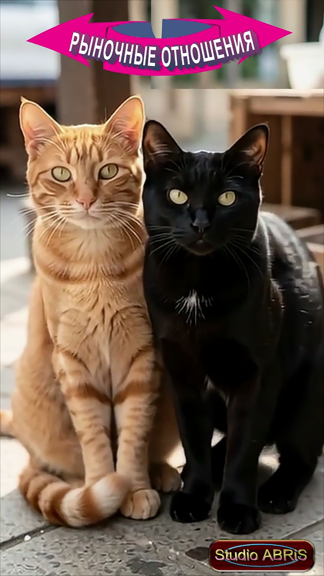 РЫНОЧНЫЕ ОТНОШЕНИЯ